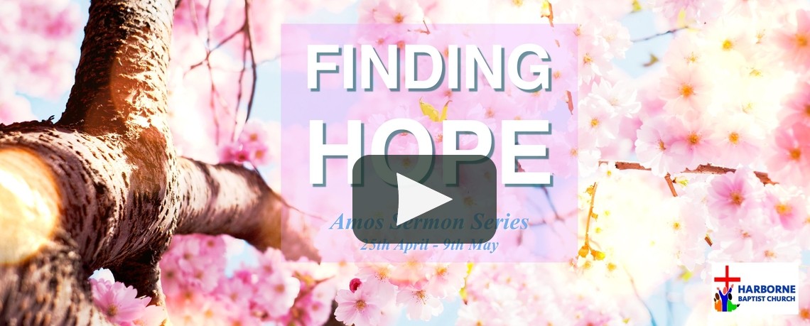 finding hope harborne small